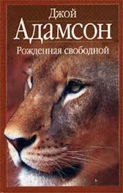Короткие любовные романы для Android
